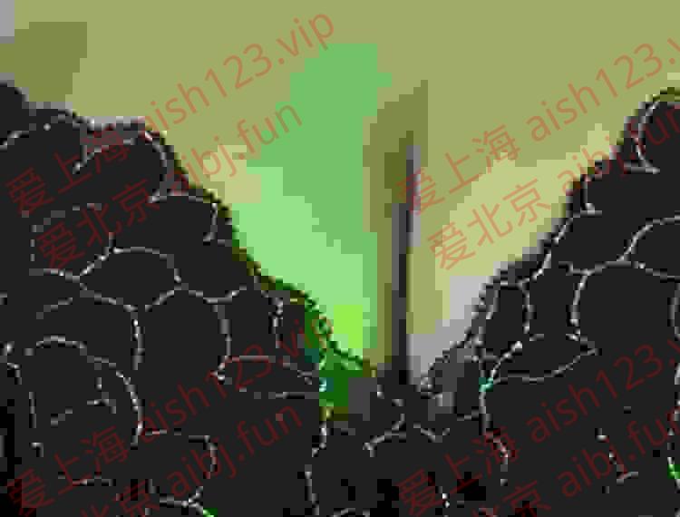 3333.jpg