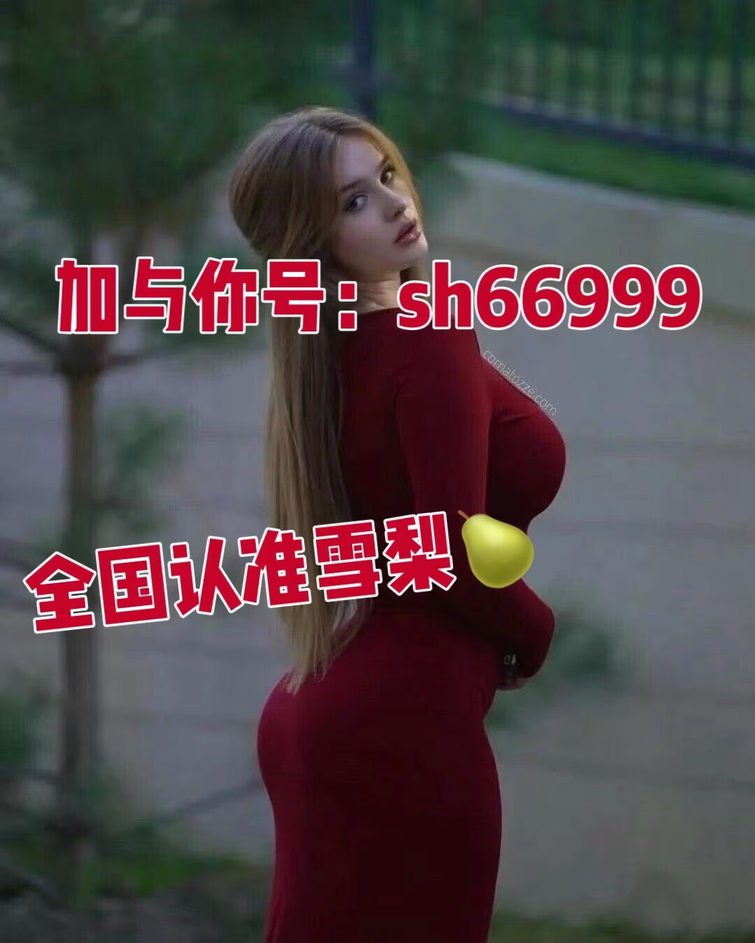 5121F0113AF120DD7F4D9B9FFA362478.png