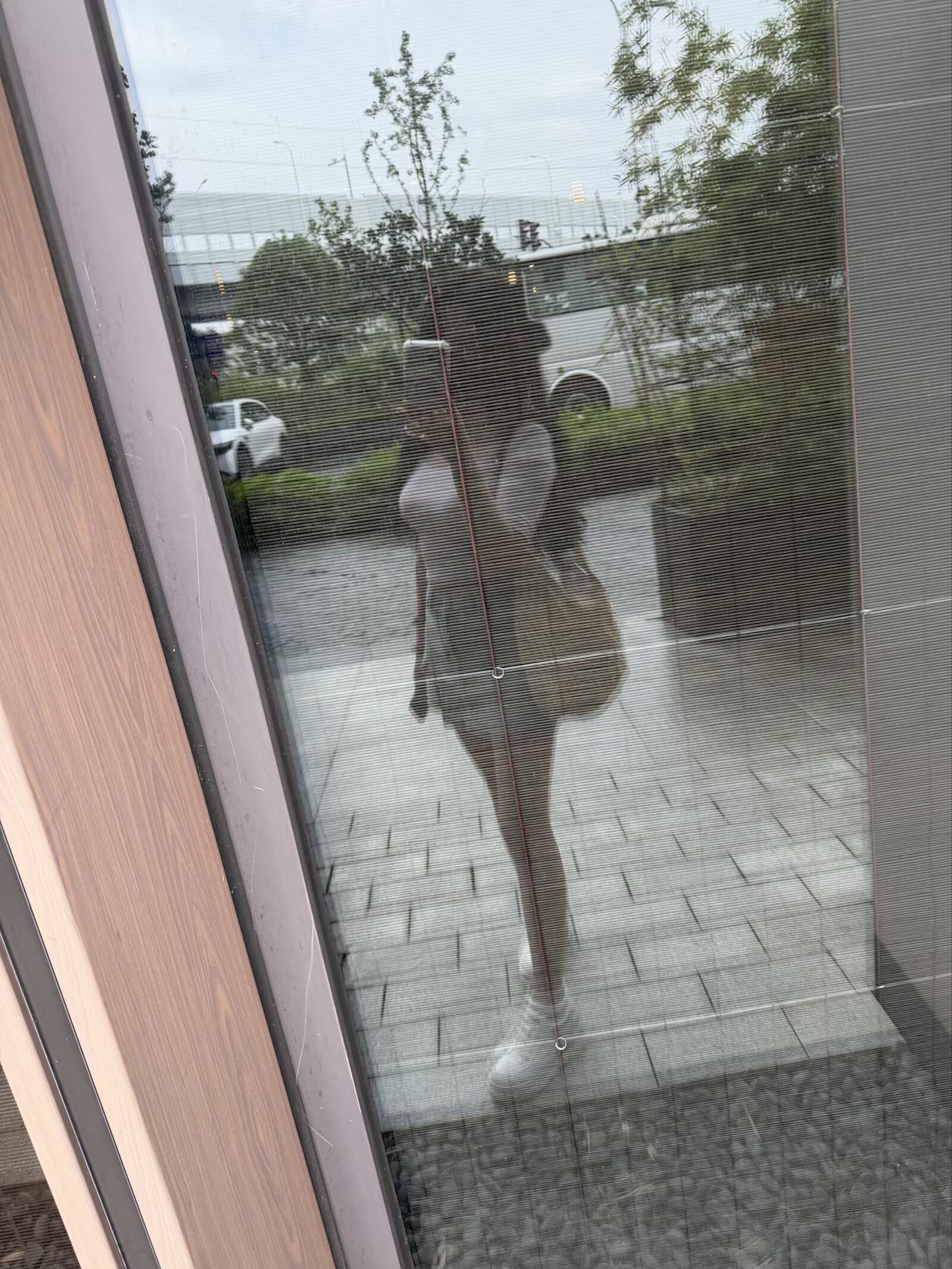 IMG_7450.jpeg